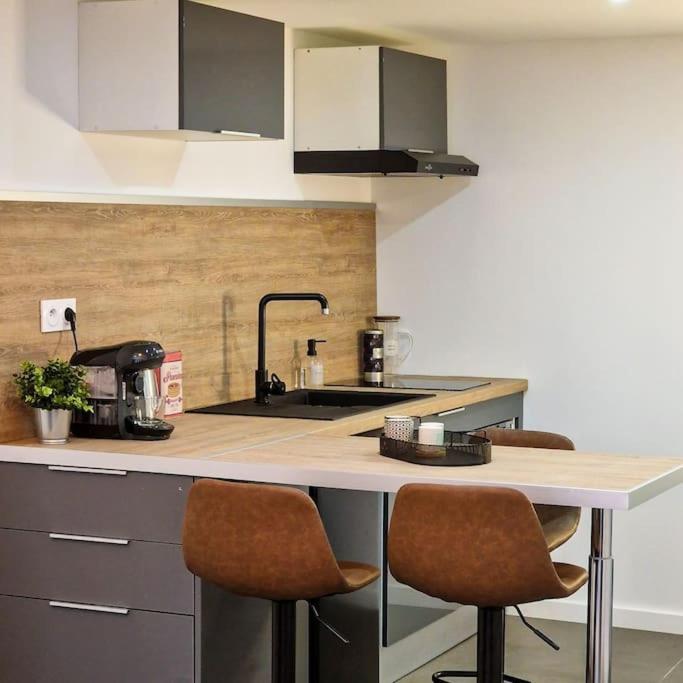 Grand Loft Avec Terrasse Privee Διαμέρισμα Σαιντ-Ετιέν Εξωτερικό φωτογραφία
